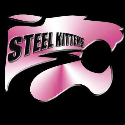 Steel Kittens: Cat Fighting, Mixed Fighting & Boxing